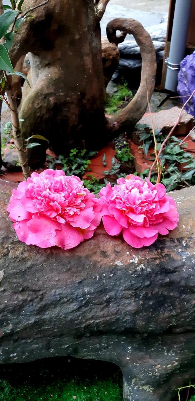 Lushan Xiangting Tea Homestay ريناي المظهر الخارجي الصورة